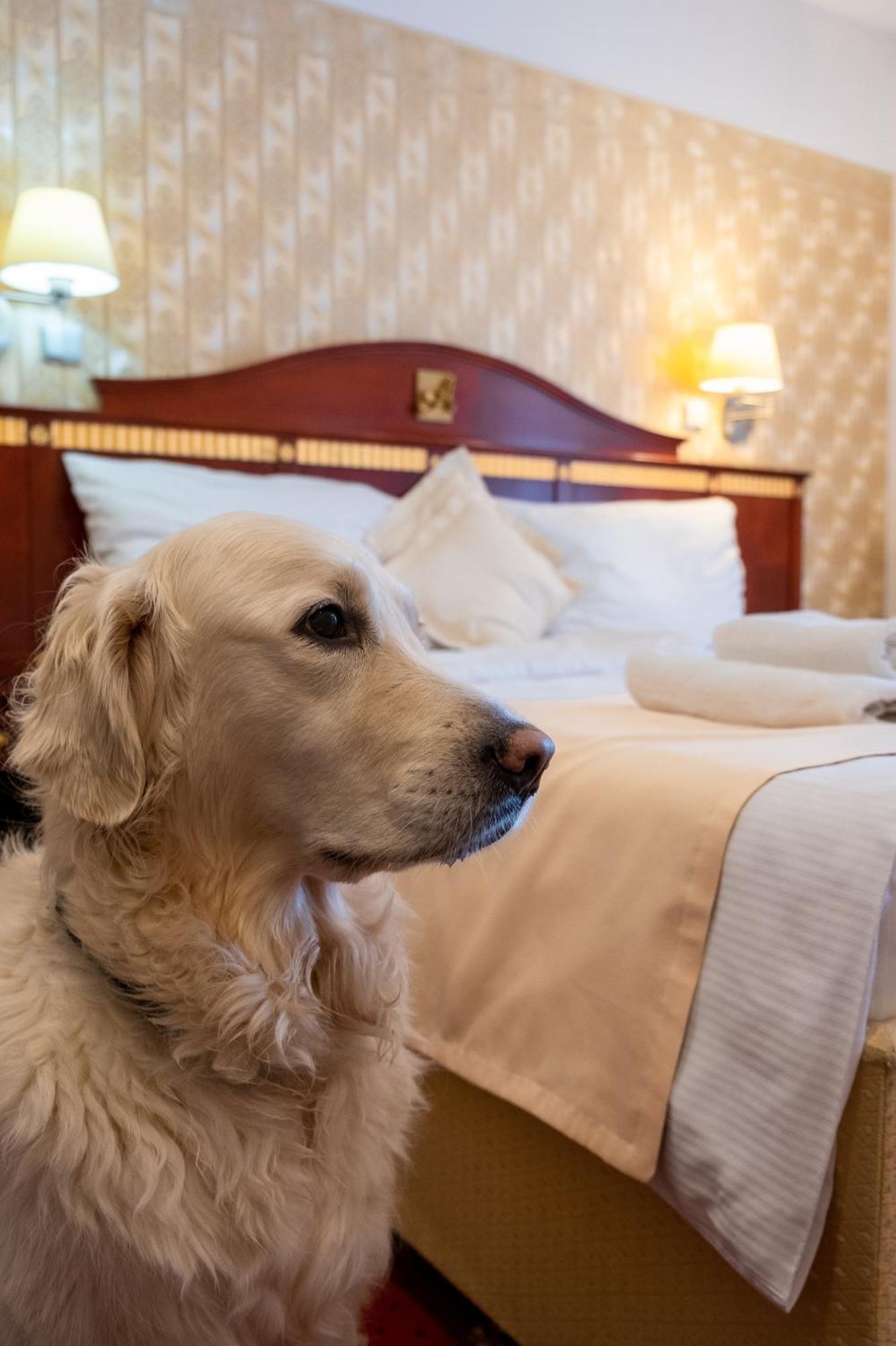 Hotel Tommy Wellness & Spa Náchod Εξωτερικό φωτογραφία
